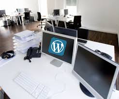 wordpress seo agentur