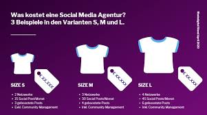 social media management kosten